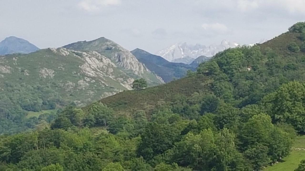 Apartamentos La Guertina Onís Dış mekan fotoğraf